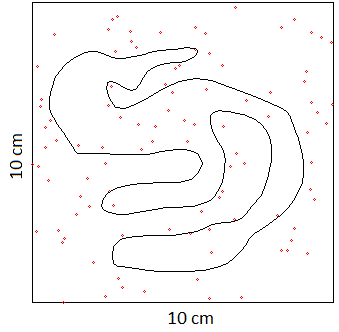shape with 100 points