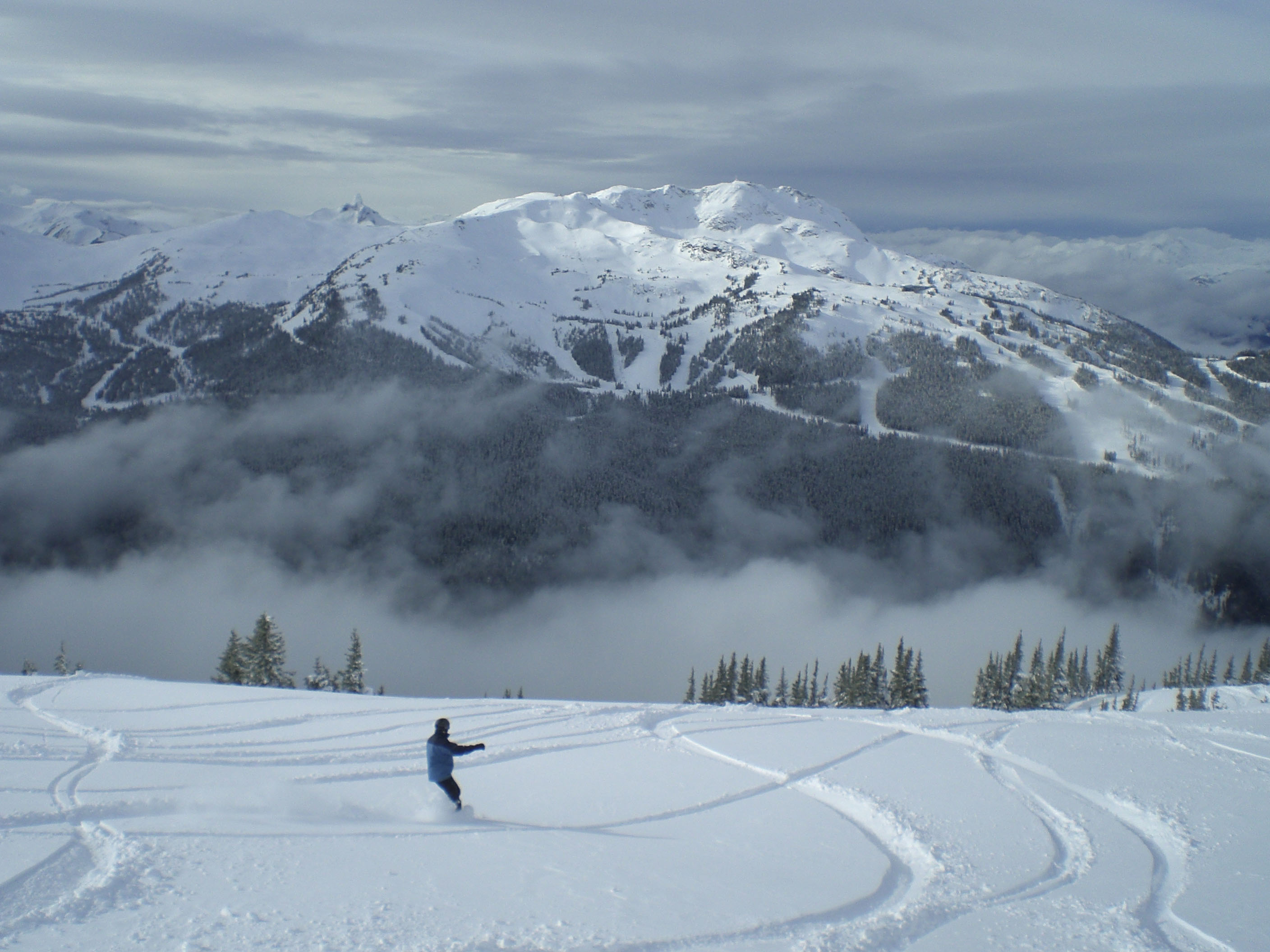 whistler